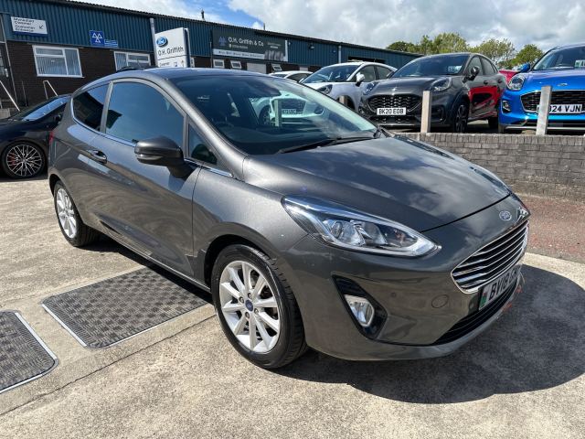 Ford 1.0T EcoBoost Titanium Hatchback 3dr Petrol Manual Euro 6 (s/s) (100 ps) (M13057)